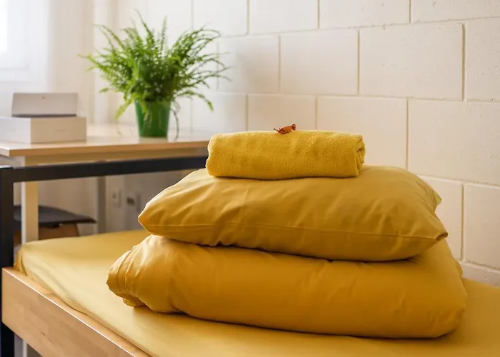 旅馆 学术旅舍 *