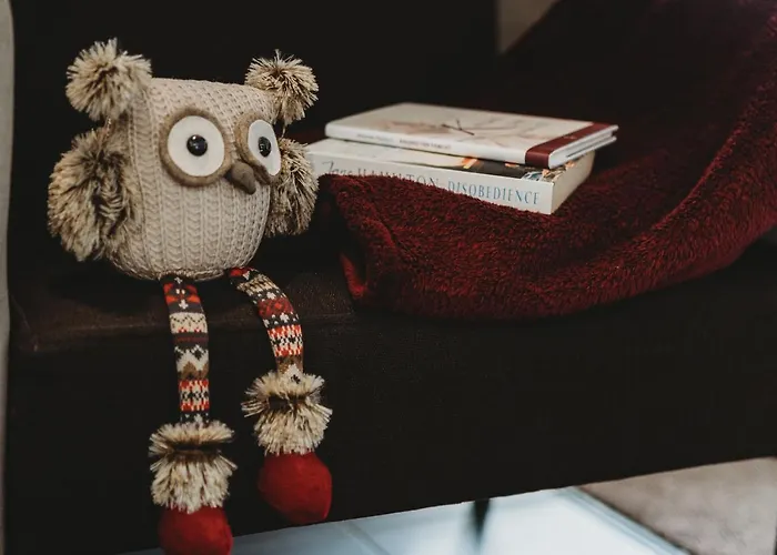 学术旅舍 旅馆 *