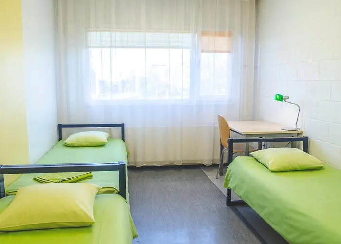 旅馆 学术旅舍 *