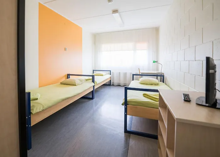 Хостел Academic